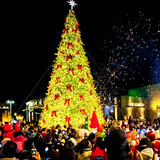 源头厂家提供广场圣诞树装饰 各类大型led圣诞树大型钢结构圣诞树