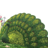仿真户外绿雕植物雕塑动物人物造型大型园林景观美陈摆件国庆装饰