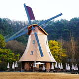 厂家供应户外防腐木荷兰风车 木质电动风车可定做 园林景观大风车