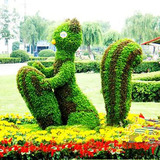 大型绿雕景观仿真动物植物创意绿雕公园房地产城市绿化五色草雕塑
