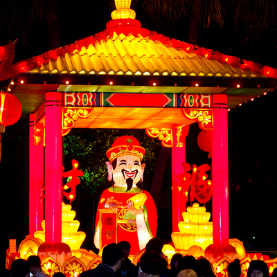 厂家订制户外迎春花卉彩灯 花灯灯会 节日造型灯饰 元宵节灯会