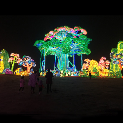 厂家直销节日特色民俗灯会元宵节装饰花灯彩灯中秋节乐园彩灯批发