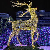 LED灯串 装饰灯 彩灯户外防水串串灯 圣诞节节日灯光造型鹿