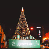 广场酒店商场大型圣诞树异型圣诞树定制12/10米钢架圣诞树装饰