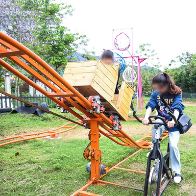 凡蒂洛定制景区抖音同款网红坑爹轨道过山车人力脚蹬亲子游乐设备