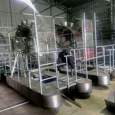 网红户外大型游乐设备水上碰碰船景区打卡玩具脚蹬划船机特战船